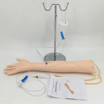 Yaşam Boyutu Anatomik Flebotomi Venipunktur Uygulama Kolu anatomyInjection uygulama Tıbbi Simülatörü Hemşire Eğitim seti