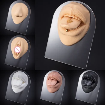 1 adet Ağız Dil Modeli Ekran Piercing Ekran Simülasyon Takı Ekran için öğretim aracı Yumuşak Silikon İnsan Kulak Burun Meme