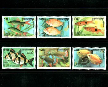 6 Adet / takım Yeni Kamboçya Posta Damgası 1999 Tropikal Balık süs balığı Pullar MNH