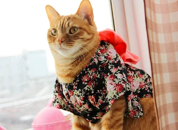Japonya Tarzı Pet Kedi Kimono küçük çiçek evcil köpek kıyafeti kedi kimono Büyük ilmek ile Giyinmek İçin gerekli Küçük Köpek Kedi