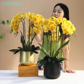 Kırmızı Orkide (3 Dakika DIY) Çiçek Aranjmanı (5 ADET Orkide + 4 ADET Yaprak + Vazo ) 3D Gerçek Dokunmatik Ofis Dekorasyon Centerpiece-INDİGO